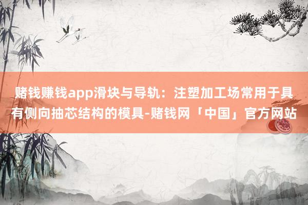 赌钱赚钱app滑块与导轨：注塑加工场常用于具有侧向抽芯结构的模具-赌钱网「中国」官方网站